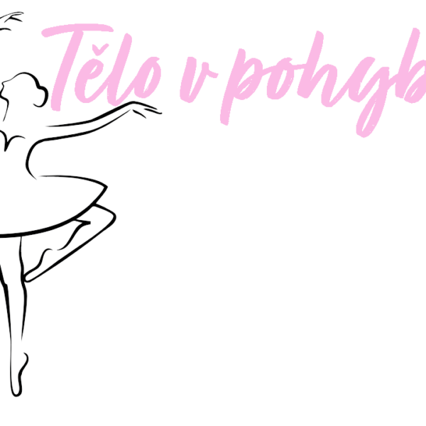 Příměstské tábory ve Veleni, případné navýšení kapacity, nový turnus?